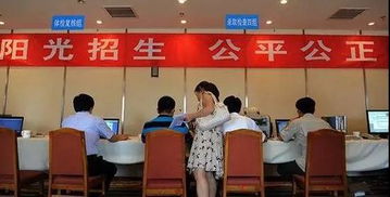 高招錄取正式啟動(dòng) 石家莊市咨詢服務(wù)站電話公布，助力考生獲取關(guān)鍵信息