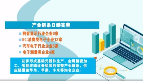 奮進(jìn)在春光里 電子信息產(chǎn)業(yè)滿園春色，賦能向海圖強(qiáng)與信息咨詢服務(wù)共振